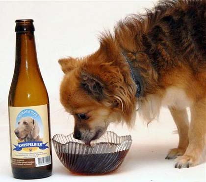 пиво для собак